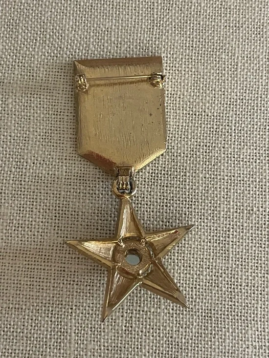 Sparkling Star Charm Pin - Picture 2 of 7